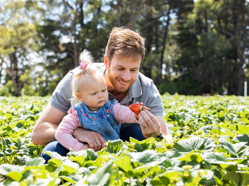 Rocky Creek Strawberry Farm