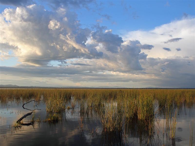 Property of Winton Wetlands