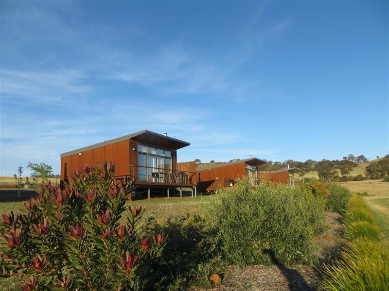 4 villas overlooking the olive grove