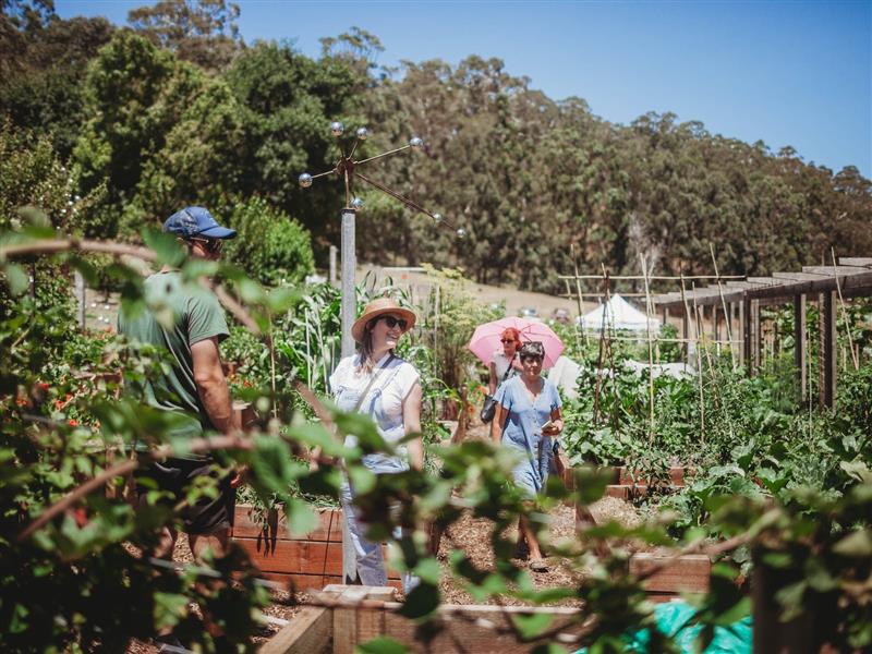 Two women in sun hats walking though a veggie garden
