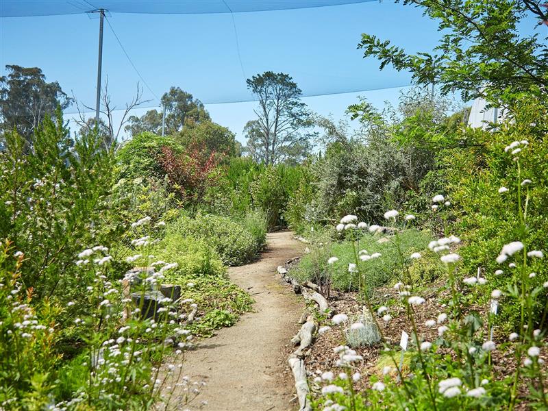 take a stroll along the path, learn + taste