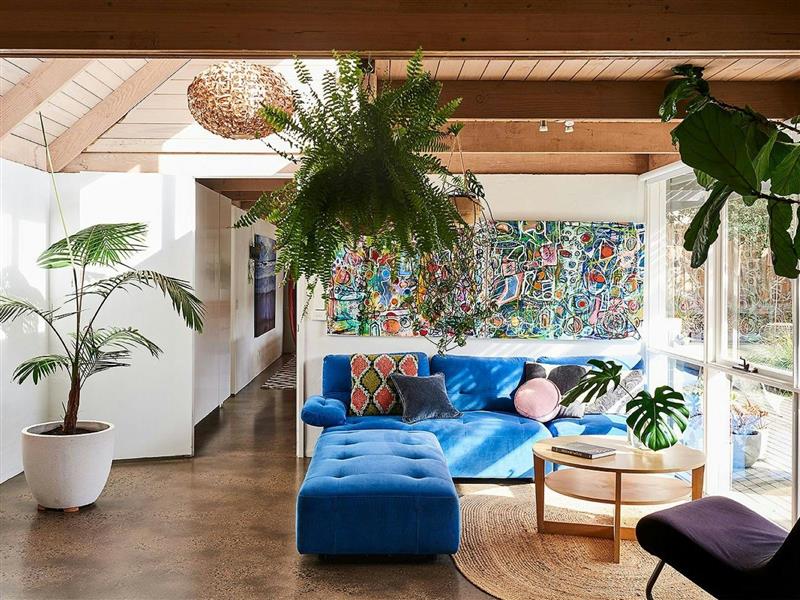 Room with plants and a blue couch.