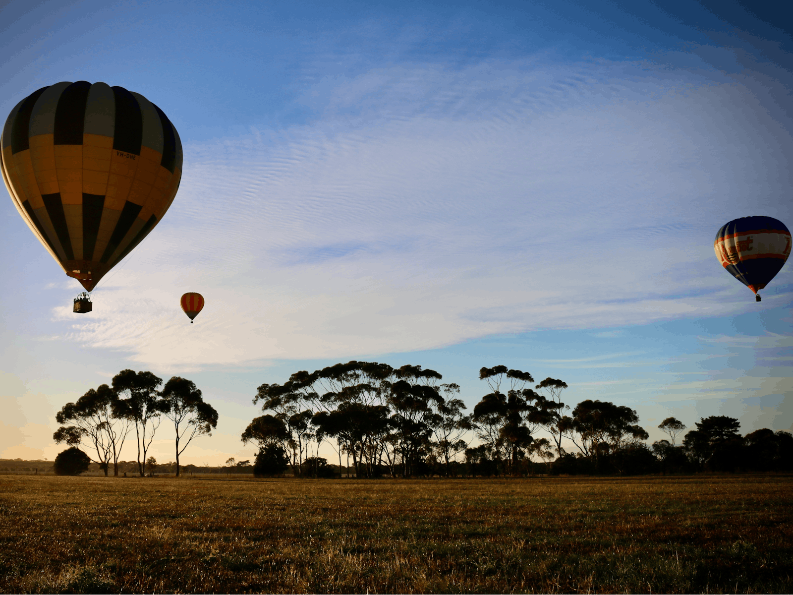 Three hot air balloons lift off from a local paddock just after sunrise