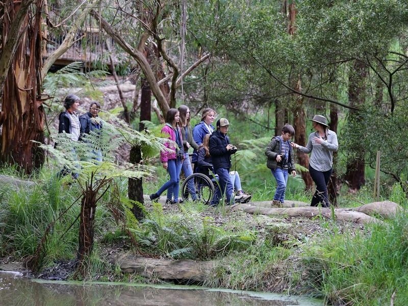 A tour group including a woman in a wheelchair passing by a pond in the rainforest