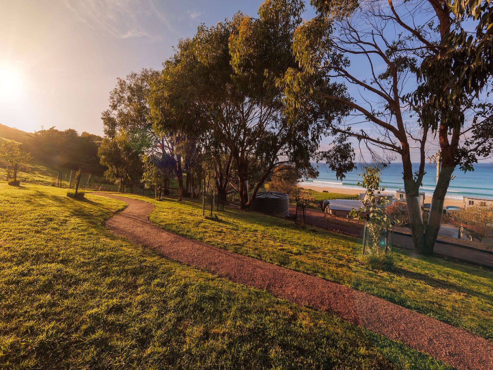 Koala Track - exclusive for Chocolate Gannets, a winding track under gumtrees, home to wild koalas.