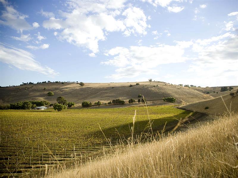 Clyde Park Vineyard, Geelong & the Bellarine, Victoria, Australa