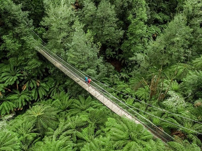 Corrigan Suspension Bridge, Tarra Bulga National Park, Gippsland