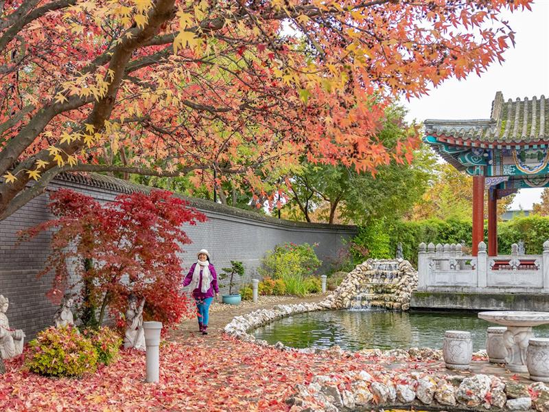Golden Dragon Museum, Bendigo, Victoria