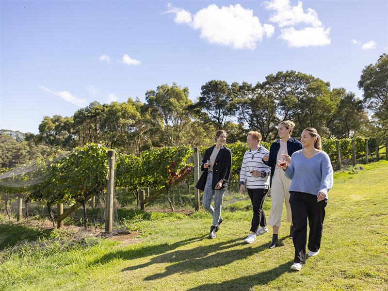 Green Olive Red Hill, Mornington Peninsula, Victoria