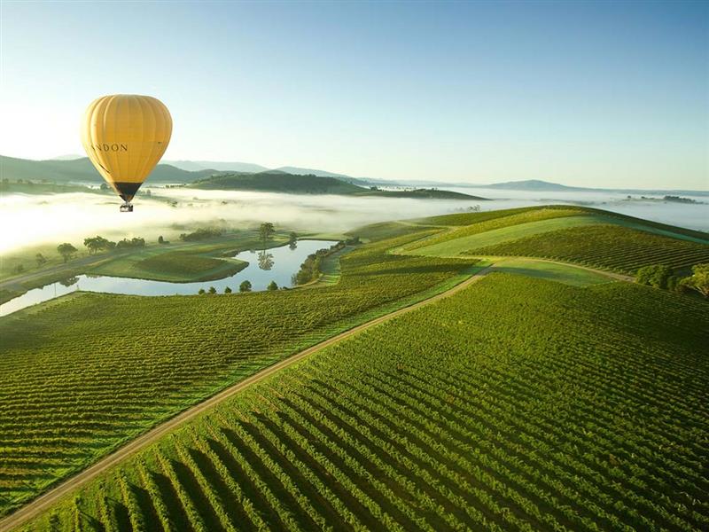 Hot air balloon over the Yarra Valley, Yarra Valley and Dandenong Ranges, Victoria, Australia