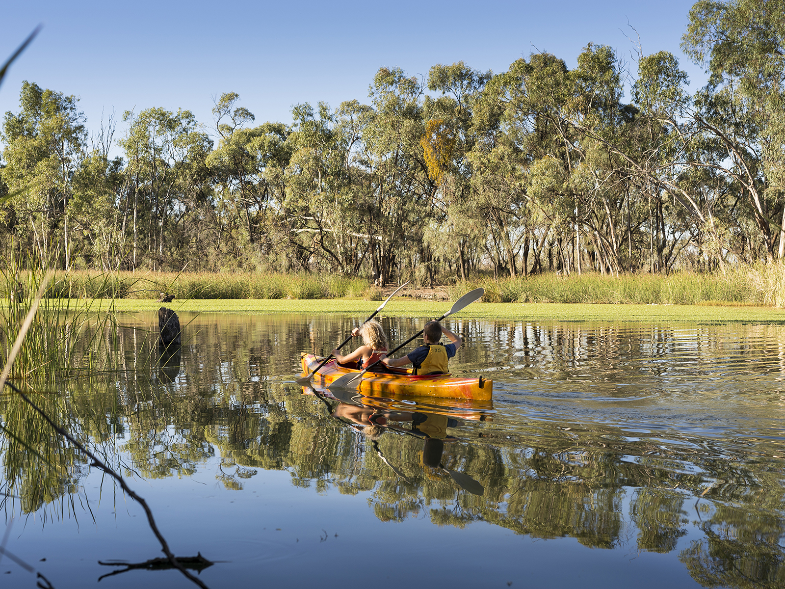 Murray River, Murray, Victoria
