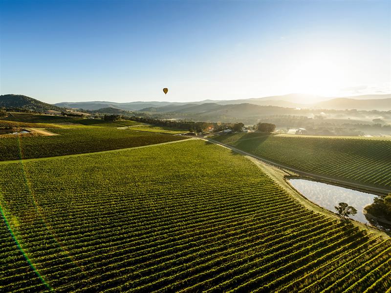 Hot air balloon over the Yarra Valley, Yarra Valley and Dandenong Ranges, Victoria, Australia